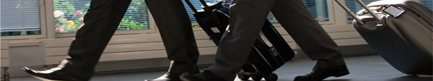 Expresso Linetour serviço de aluguel de  fretados para eventos excursoes shows palestras empresariais