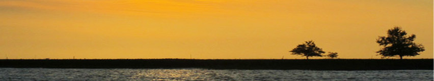 Expresso Linetour serviço de aluguel de  fretados para eventos excursoes shows turismo destinos do brasil praias sitios chacaras museus pontos turisticos