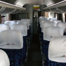 Microônibus Fretados Linetour