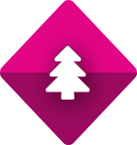 Serviço de fretamento preocupado com o meio ambiente